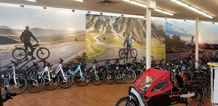 ElectriCityBikes Rockville Picture 2
