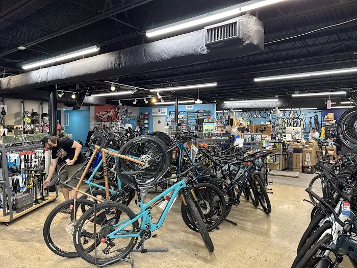 Terrapin Bicycles Picture 6