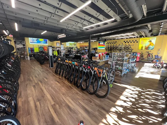 Griffin Cycle Inc Picture 3