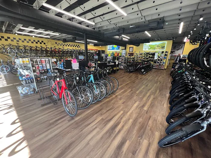 Griffin Cycle Inc Picture 4