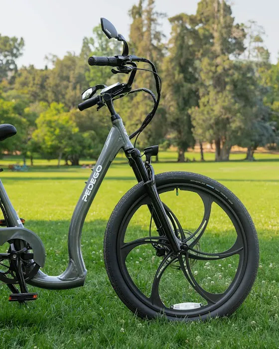 Pedego Electric Bikes Leesburg Picture 6