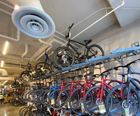 Conte's Bike Shop