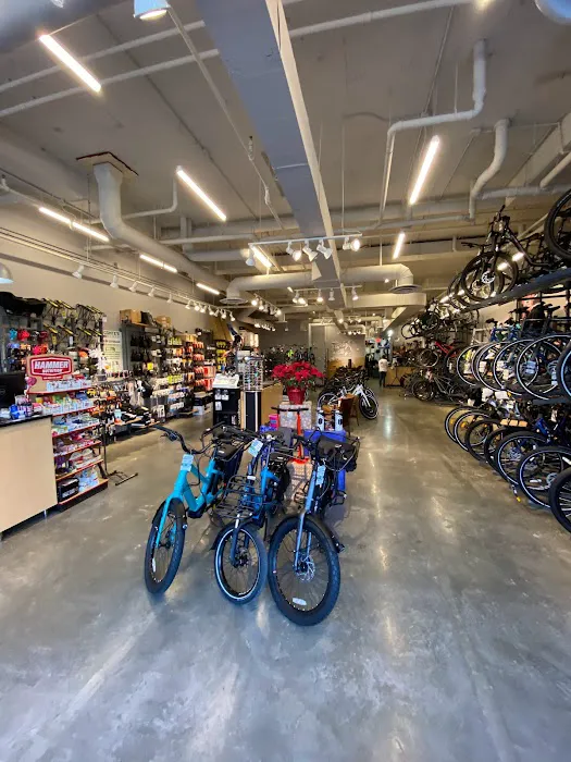 Conte's Bike Shop Picture 6