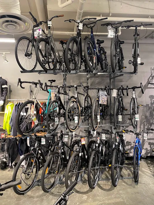 Conte's Bike Shop Picture 8