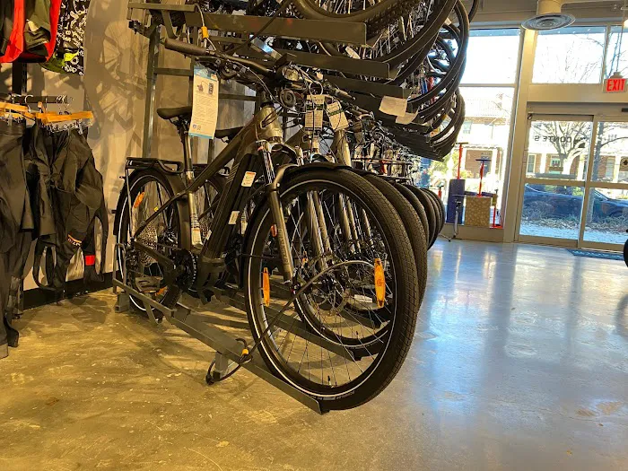 Conte's Bike Shop Picture 9