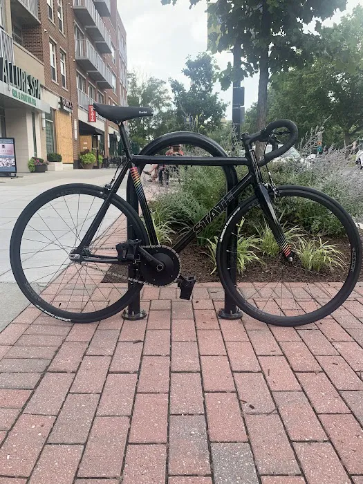 Conte's Bike Shop Picture 7