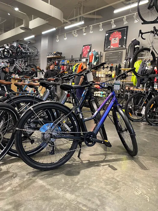 Conte's Bike Shop Picture 10