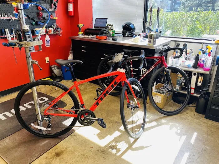 The Bike Lane Bicycle Shop Picture 2