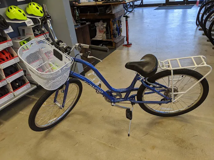 The Bike Lane Bicycle Shop Picture 10