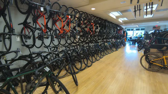 Green Lizard Cycling Picture 8