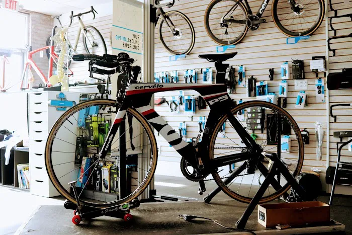 Green Lizard Bike Fit Studio Picture 1