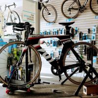 Green Lizard Bike Fit Studio ico