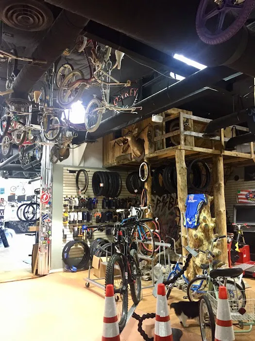 Eastern Panhandle Bicycle Company Picture 4