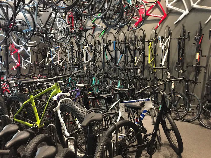 Strictly Bicycles Picture 3