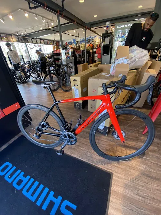 Strictly Bicycles Picture 4