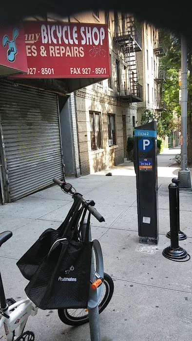 Manny's Bicycle Picture 2
