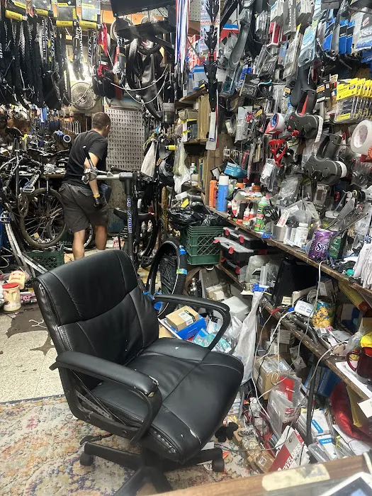 Manny's Bicycle Picture 3