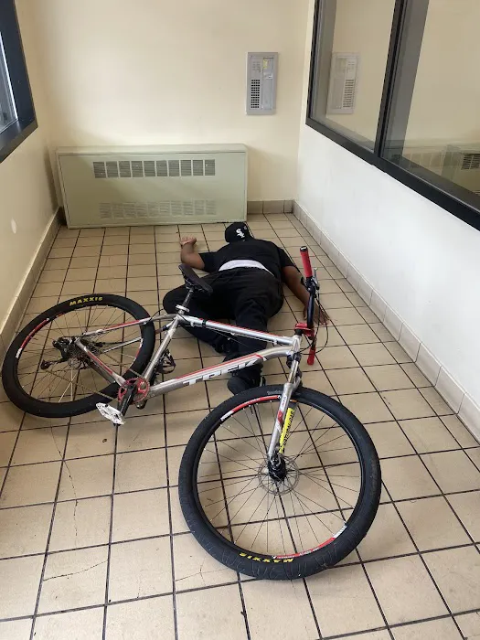 Manny's Bicycle Picture 5