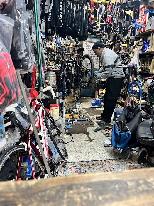 Manny's Bicycle Picture 4