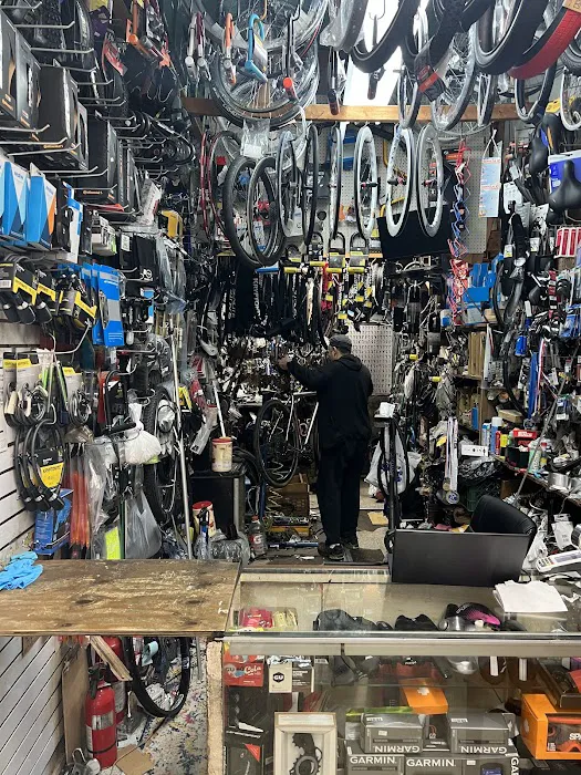 Manny's Bicycle Picture 6