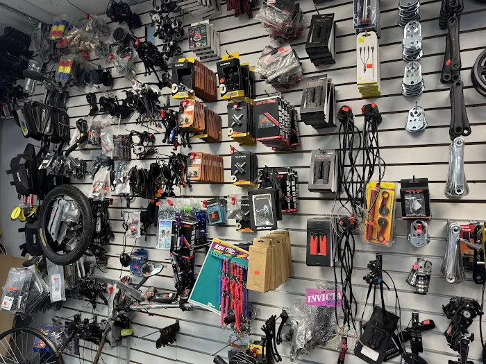Javis Bike Shop Picture 10
