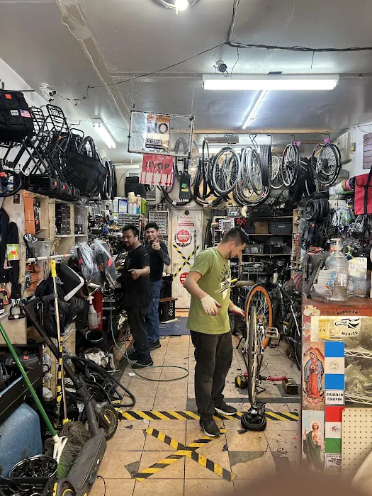 Bolt Bike Shop Picture 7