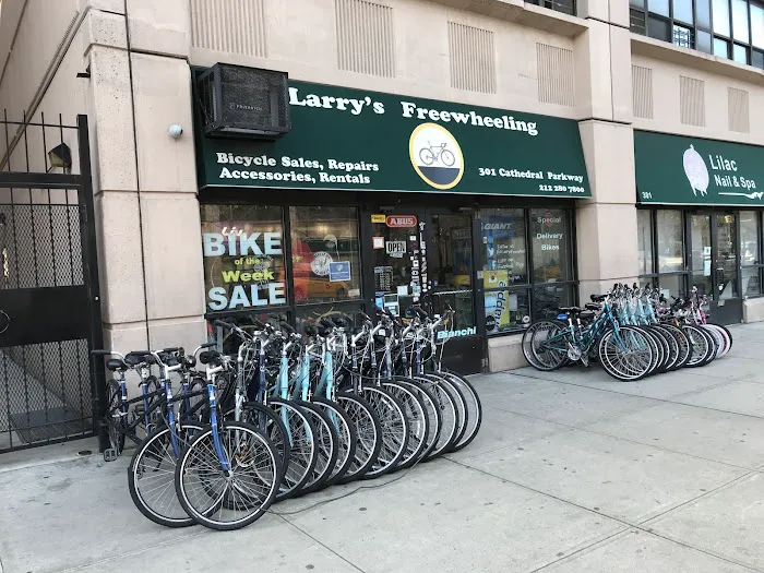 Larry's Freewheeling Picture 3