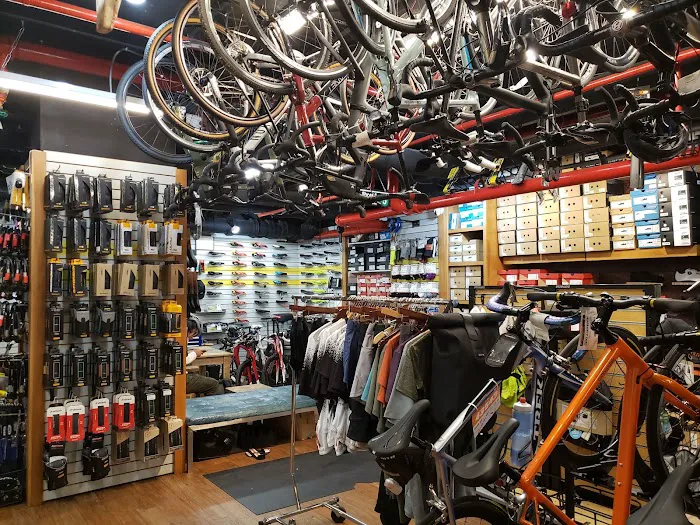 Bicycles NYC Picture 7