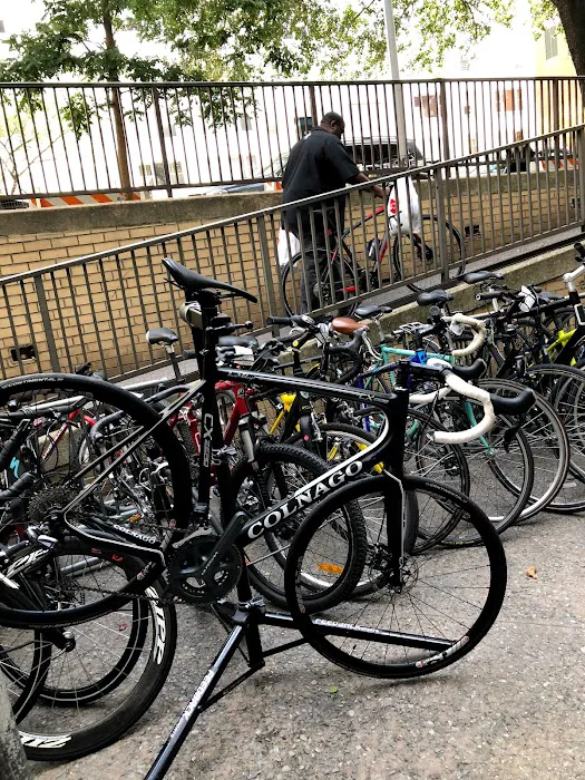 Bicycles NYC Picture 5
