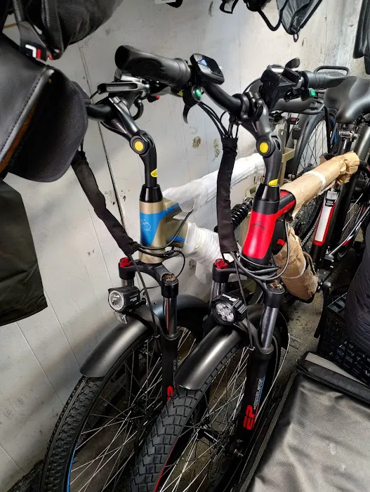 71 E-BIKES INC Picture 1
