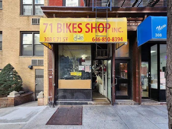 71 E-BIKES INC Picture 3