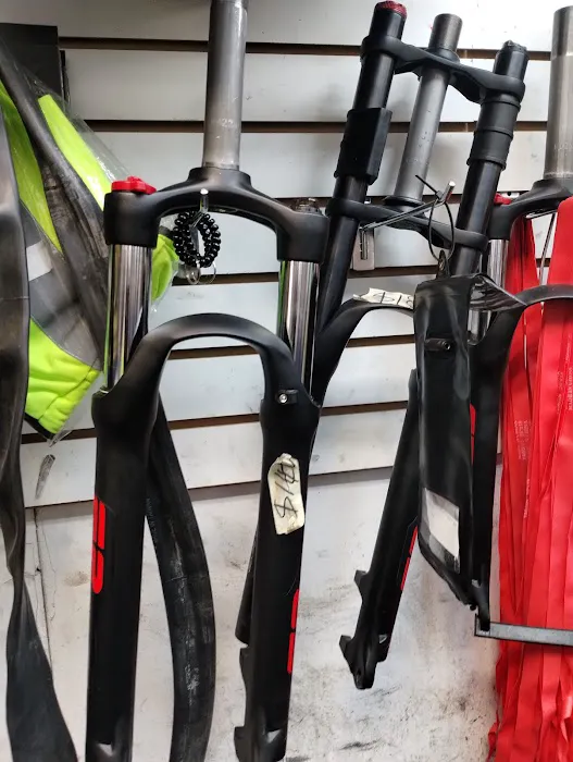 71 E-BIKES INC Picture 2