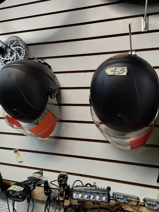 71 E-BIKES INC Picture 4