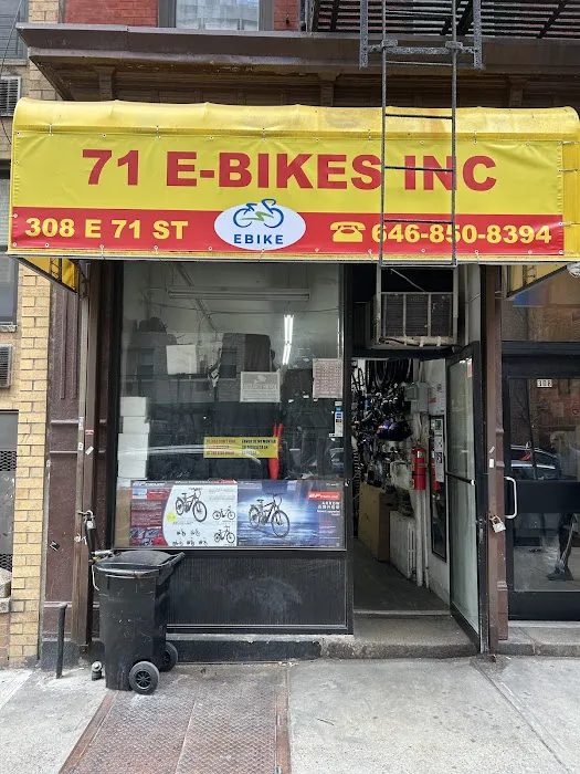 71 E-BIKES INC Picture 8