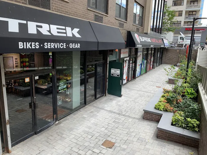 Trek Bicycle Upper East Side Picture 3