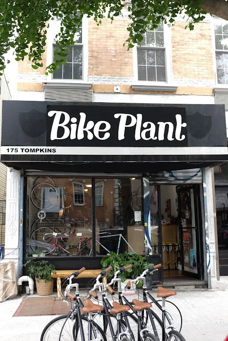 Bike Plant Picture 1