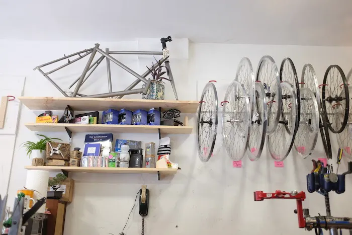 Bike Plant Picture 3