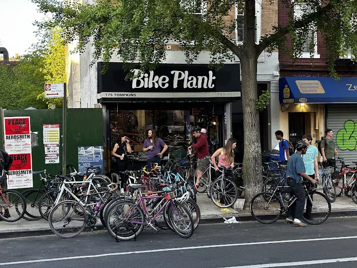 Bike Plant Picture 4