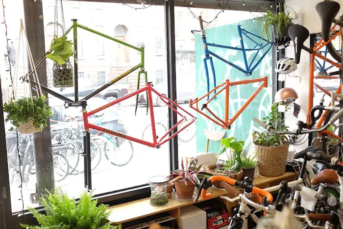 Bike Plant Picture 8