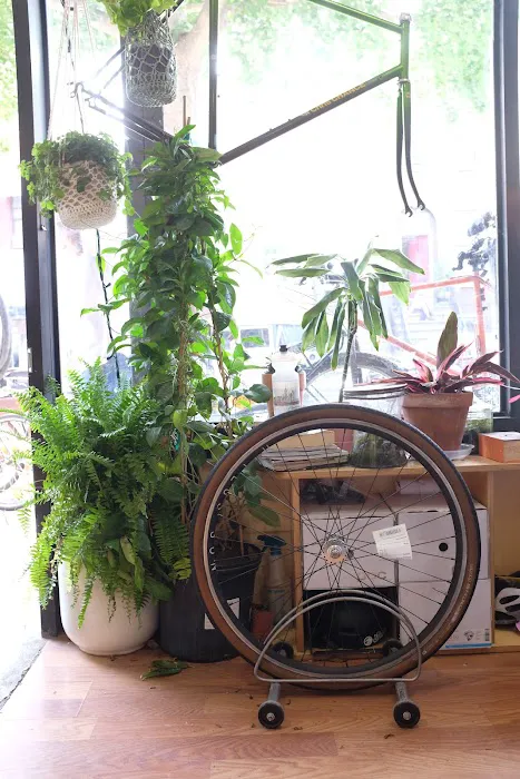 Bike Plant Picture 6