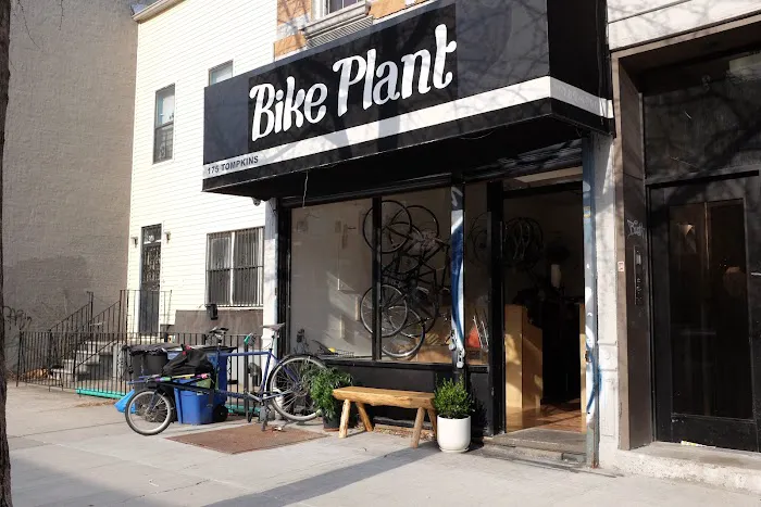 Bike Plant Picture 10