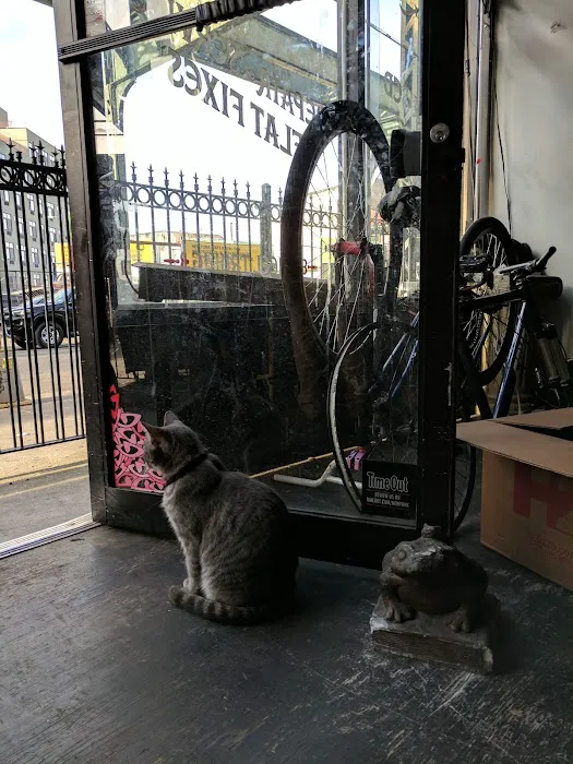 Harvest Cyclery Picture 4