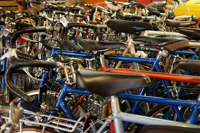 Harvest Cyclery Picture 8