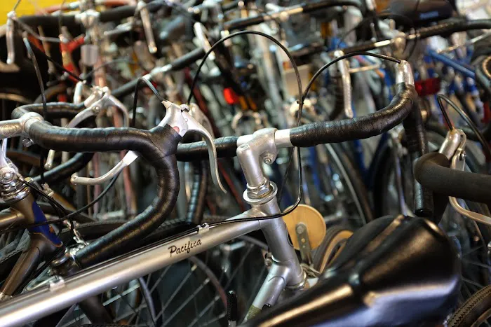 Harvest Cyclery Picture 10