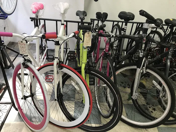 Cubito Bike Shop Picture 6