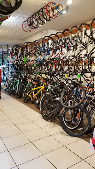 Spokesman Cycles Picture 3