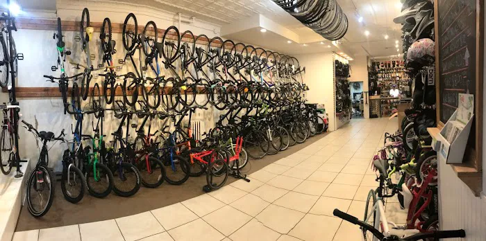 Spokesman Cycles Picture 4