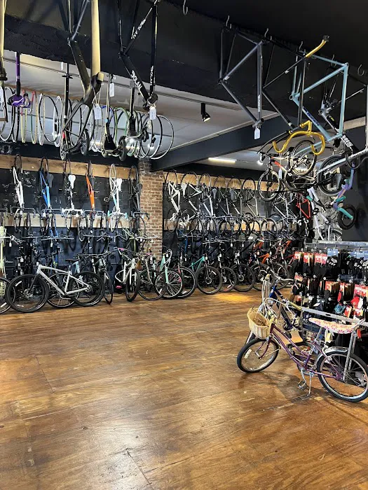 Spokesman Cycles Picture 7