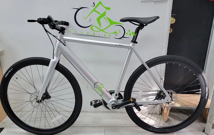 FLY E-BIKE 113-09 Picture 2