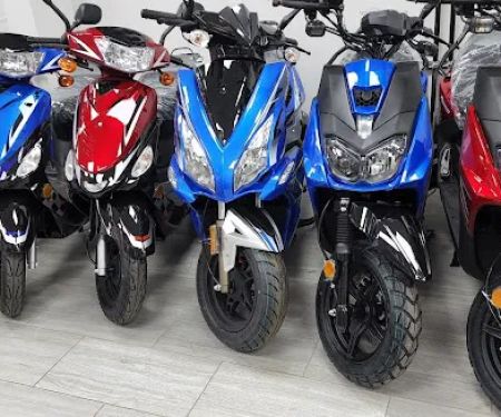 FLY E-BIKE 113-09